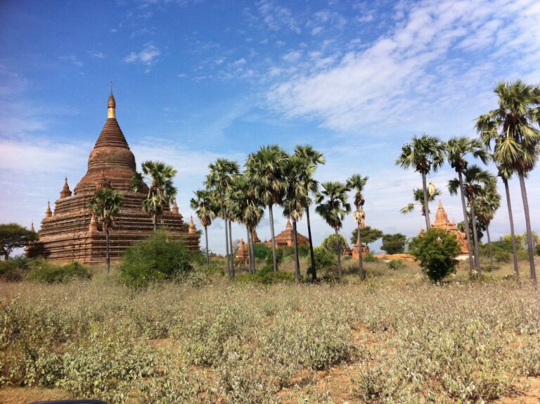 Bagan pagoda surrounded by palm trees on the central Myanmar plain