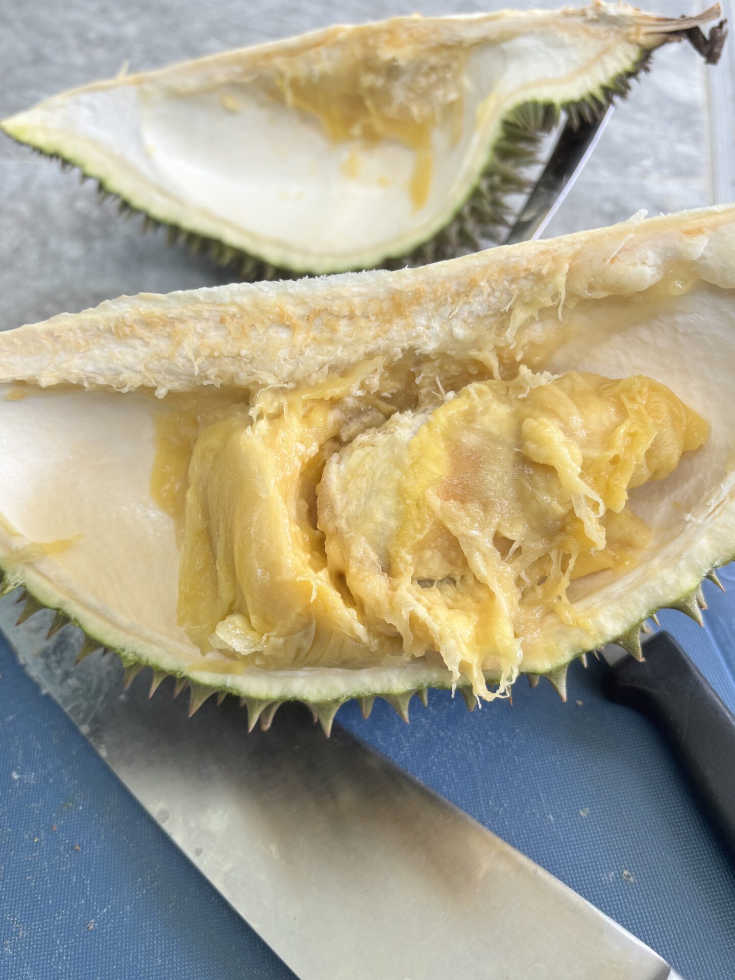 Pala-U Durian