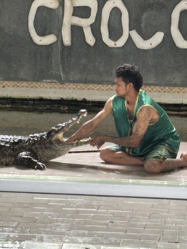 Crocodile Show in Hua Hin